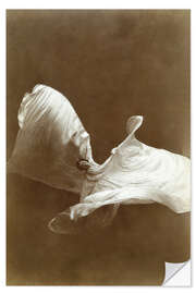 Wandsticker Loïe Fuller tanzt mit ihrem Schleier