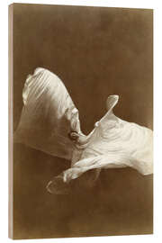 Holzbild Loïe Fuller tanzt mit ihrem Schleier
