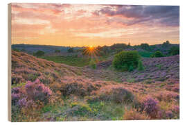 Holzbild Heideblüte im Nationalpark Veluwezoom, Niederlanden - Michael Valjak
