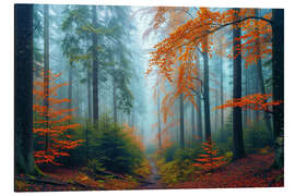 Alubild Früher Morgen - Mango Art