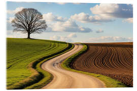 Acrylglasbild Weg im Grünen