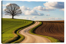Leinwandbild Weg im Grünen