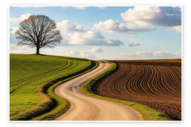 Poster Weg im Grünen