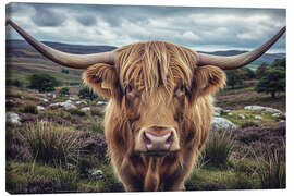 Leinwandbild Hochlandrinder - Mango Art