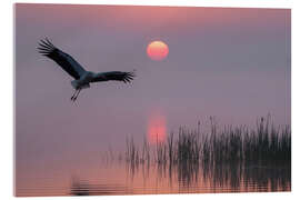 Acrylglasbild Morgen am Teich
