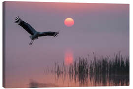Leinwandbild Morgen am Teich