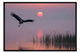 Gerahmter Kunstdruck Morgen am Teich