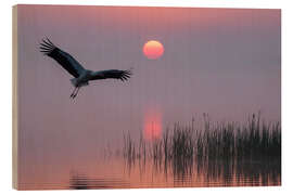 Holzbild Morgen am Teich
