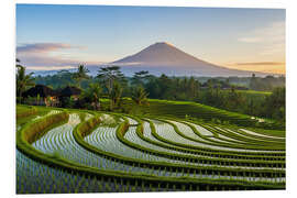 Hartschaumbild Balinesische Landschaft