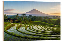 Holzbild Balinesische Landschaft