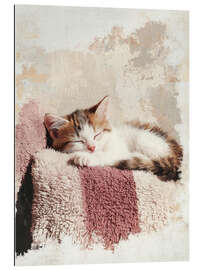 Gallery Print Schlafen beim Sonnenschein