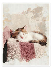 Poster Schlafen beim Sonnenschein