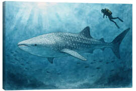 Leinwandbild Taucher schwimmt mit Walhai - Natalie Bruns