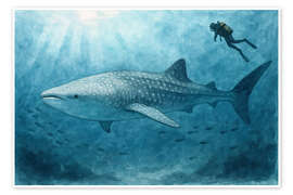 Wandbild Taucher schwimmt mit Walhai - Natalie Bruns