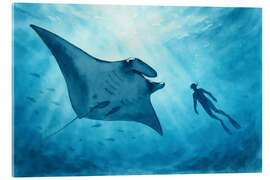 Acrylglasbild Freitaucher schwimmt mit einem riesigen Mantarochen - Natalie Bruns