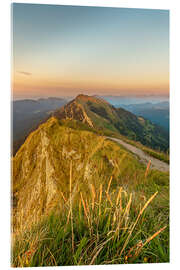 Acrylglasbild Gelchenwanger Kopf - Andreas Kossmann