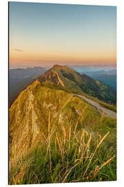 Tableau en aluminium Gelchenwanger Head - Andreas Kossmann