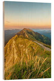 Holzbild Gelchenwanger Kopf - Andreas Kossmann