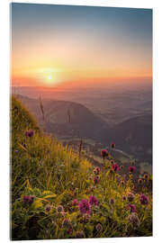 Acrylglasbild Goldene Stunde vom Hochgrat im Allgäu - Andreas Kossmann