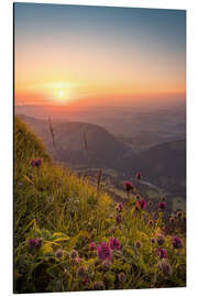 Alubild Goldene Stunde vom Hochgrat im Allgäu - Andreas Kossmann