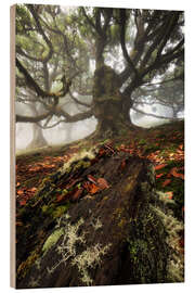 Holzbild Baumwesen von Fanal, Madeira - Martin Podt