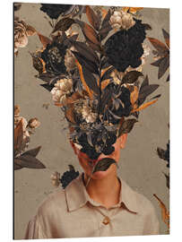 Alubild Melissonant Fall II - Frank Moth