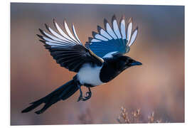 Hartschaumbild Elster im Flug