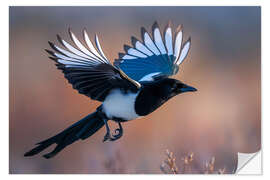 Wandsticker Elster im Flug