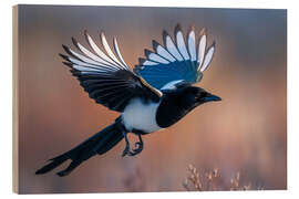 Holzbild Elster im Flug