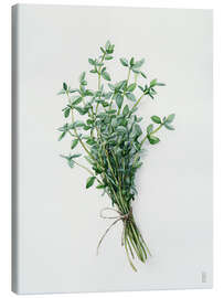 Leinwandbild Frischer Thymian - artill