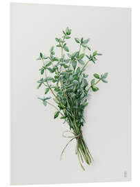 Hartschaumbild Frischer Thymian - artill