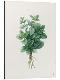 Alubild Frische Minze