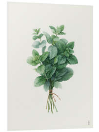 Hartschaumbild Frische Minze - artill