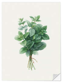 Wandsticker Frische Minze - Softlight Boutique