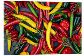 Acrylglasbild Leuchtende Chili-Vielfalt - Thomas Klee