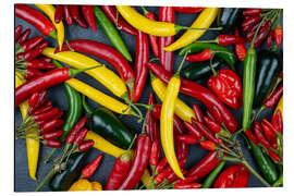 Alubild Leuchtende Chili-Vielfalt - Thomas Klee