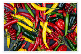 Wandbild Leuchtende Chili-Vielfalt - Thomas Klee