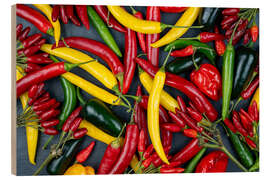 Holzbild Leuchtende Chili-Vielfalt - Thomas Klee