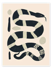 Poster Schwarze und weiße Schlange