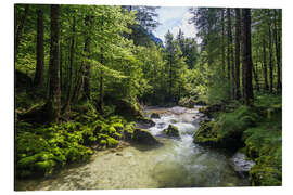 Aluminiumsbilde Torrenerache in the Bluntau Valley, Salzburg, Austria - Gerhard Wild