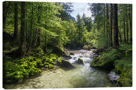 Leinwandbild Torrenerache im Bluntautal, Salzburg, Österreich - Gerhard Wild