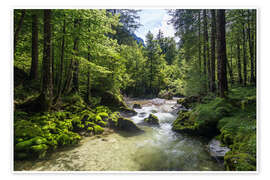 Wandbild Torrenerache im Bluntautal, Salzburg, Österreich - Gerhard Wild