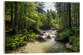 Stampa su legno Torrenerache in the Bluntau Valley, Salzburg, Austria - Gerhard Wild