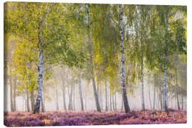 Leinwandbild Spätsommermorgen im Birkenwäldchen - Moqui, Daniela Beyer