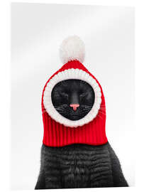 Acrylglasbild Schwarze Katze mit Pudelmütze