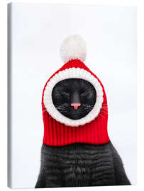 Leinwandbild Schwarze Katze mit Pudelmütze