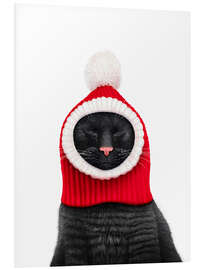 Hartschaumbild Schwarze Katze mit Pudelmütze