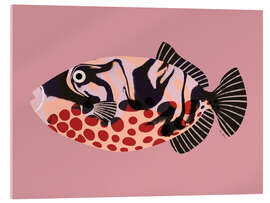 Acrylglasbild Drückerfisch - EL BUEN LIMÓN