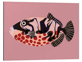 Alubild Drückerfisch - EL BUEN LIMÓN