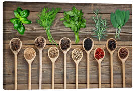 Leinwandbild Frische Kräuter und bunte Gewürze auf Holz - Thomas Klee